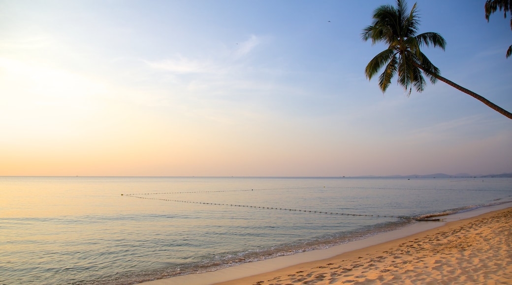 Phu Quoc Beach featuring landscape views, tropical scenes and a sandy beach