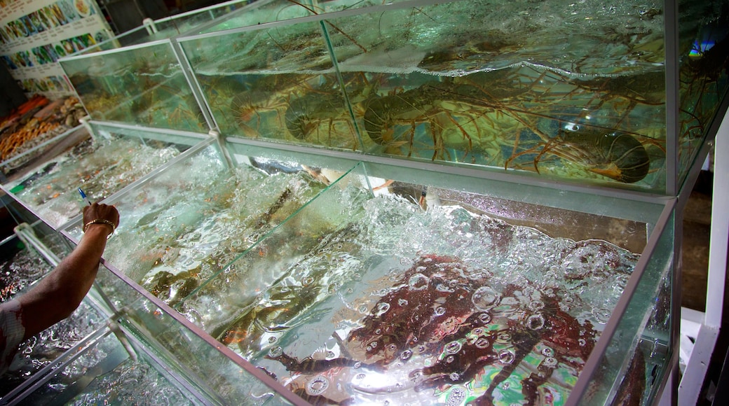 Dinh Cau which includes marine life