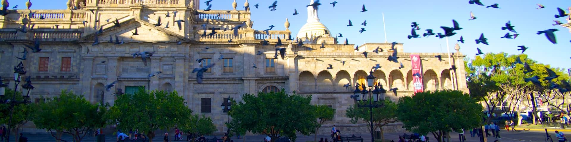Metropolitan Cathedral which includes heritage architecture, bird life and a church or cathedral