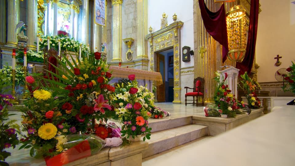 Basilica de Zapopan mostrando vistas internas, uma igreja ou catedral e flores