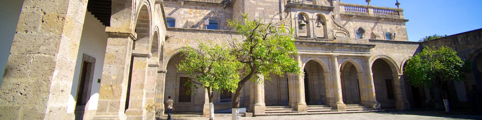 Hospicio Cabanas showing heritage architecture and a castle