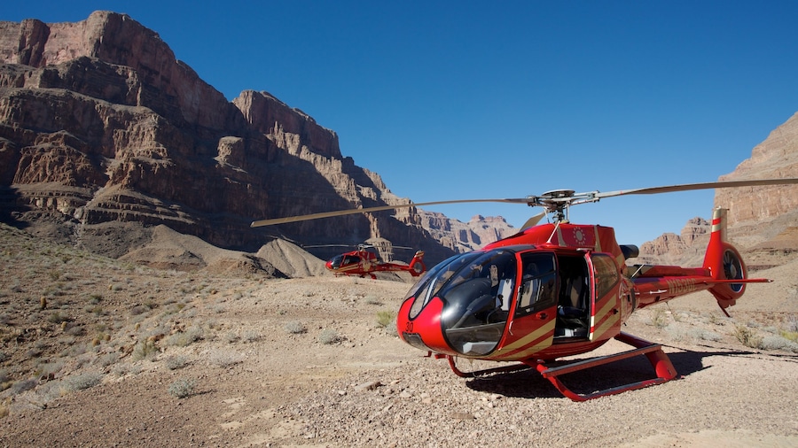 Grand Canyon bevat een vliegtuig, een kloof of ravijn en vliegtuigen