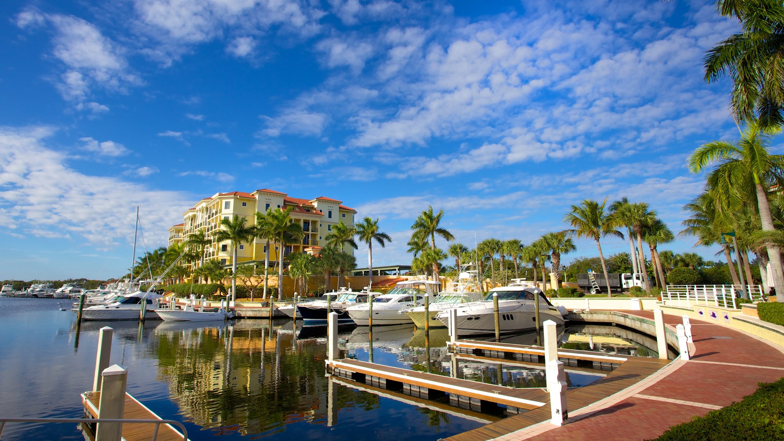 Jupiter showing tropical scenes, a marina and a coastal town