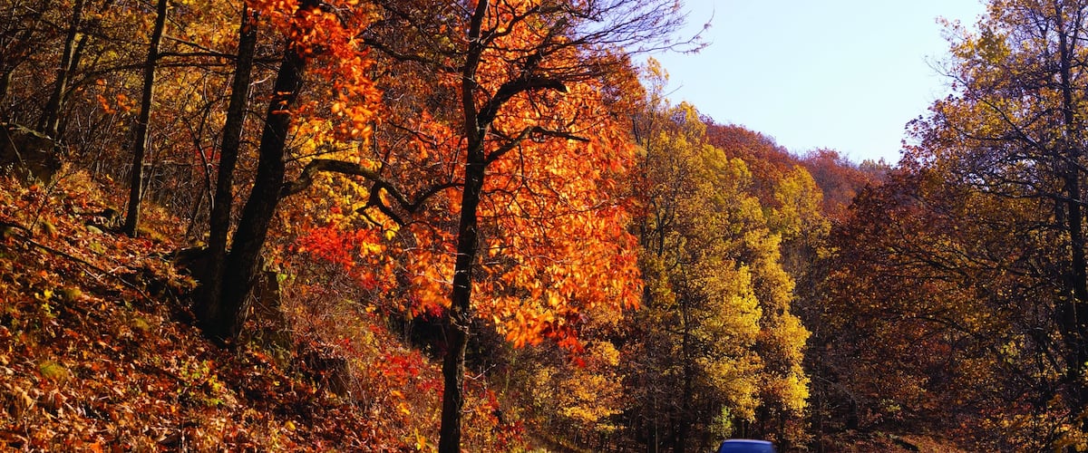 Roanoke montrant forĂȘts et feuilles d\'automne