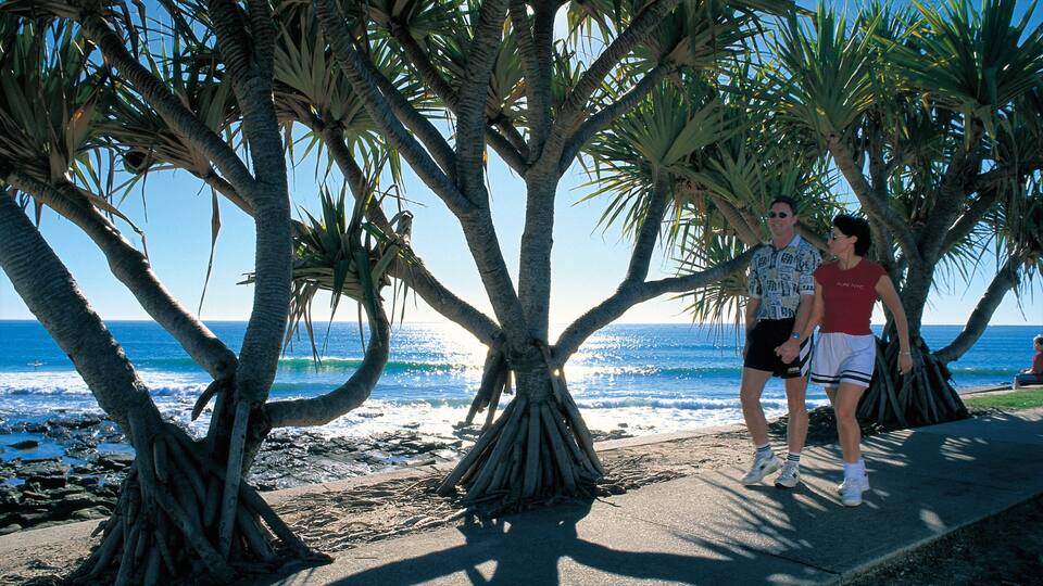 Alexandra Headland which includes rugged coastline and hiking or walking as well as a couple