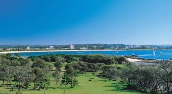 Alexandra Headland showing landscape views, general coastal views and a coastal town