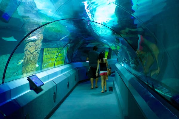 Underwater World Sea Life mettant en vedette vues intérieures et vie marine aussi bien que couple