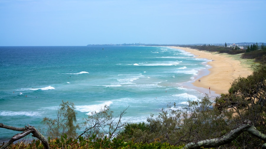 Kawana Beach showing a sandy beach and landscape views