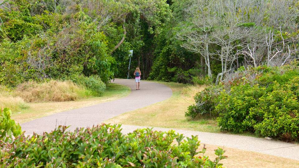 Mooloolaba showing a garden and hiking or walking