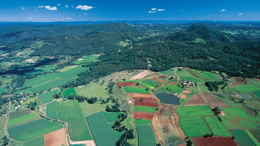 Mapleton