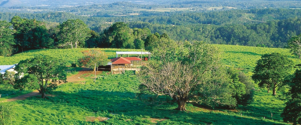 Maleny qui includes scĂšnes tranquilles, ferme et panoramas