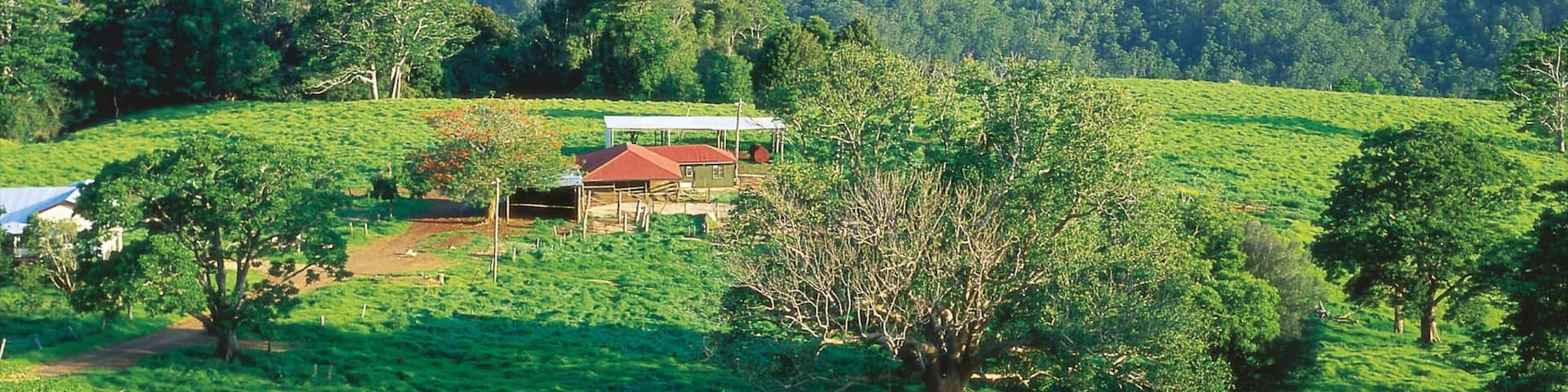 Maleny which includes tranquil scenes, landscape views and farmland
