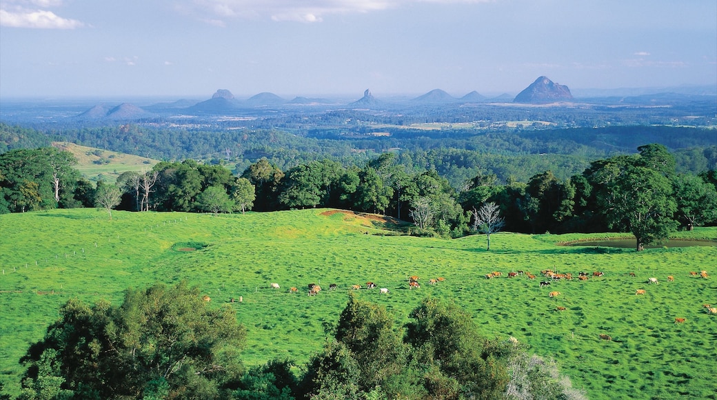 Foto proporcionada por Tourism and Events Queensland