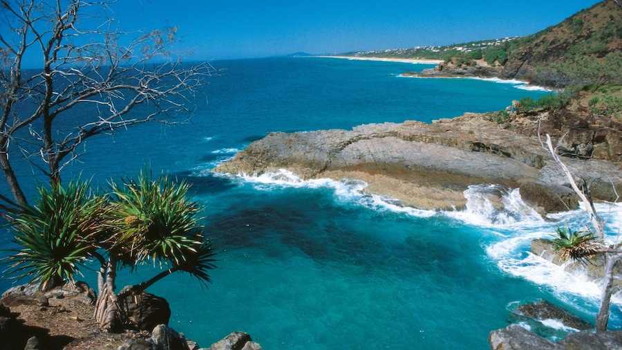 Parc national de Noosa montrant panoramas, cÎte escarpée et scÚnes tropicales
