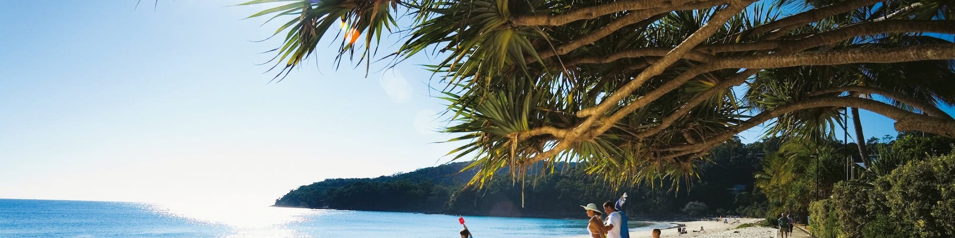 Noosa Beach which includes tropical scenes and a sandy beach as well as a family