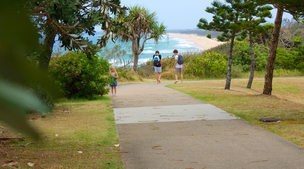 Kawana Beach welches beinhaltet allgemeine Küstenansicht und Park sowie Kinder