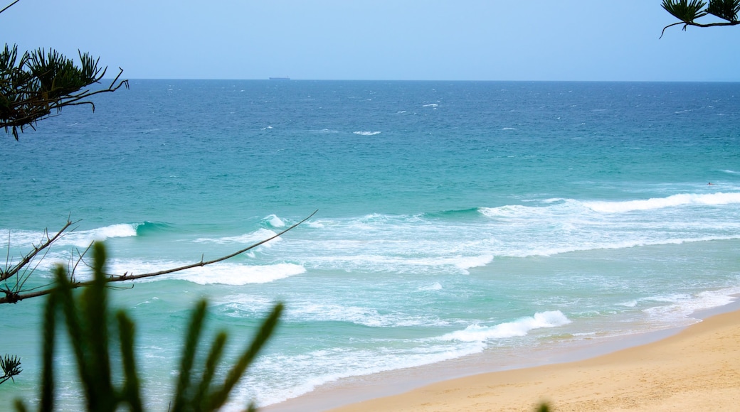 Plage Kawana