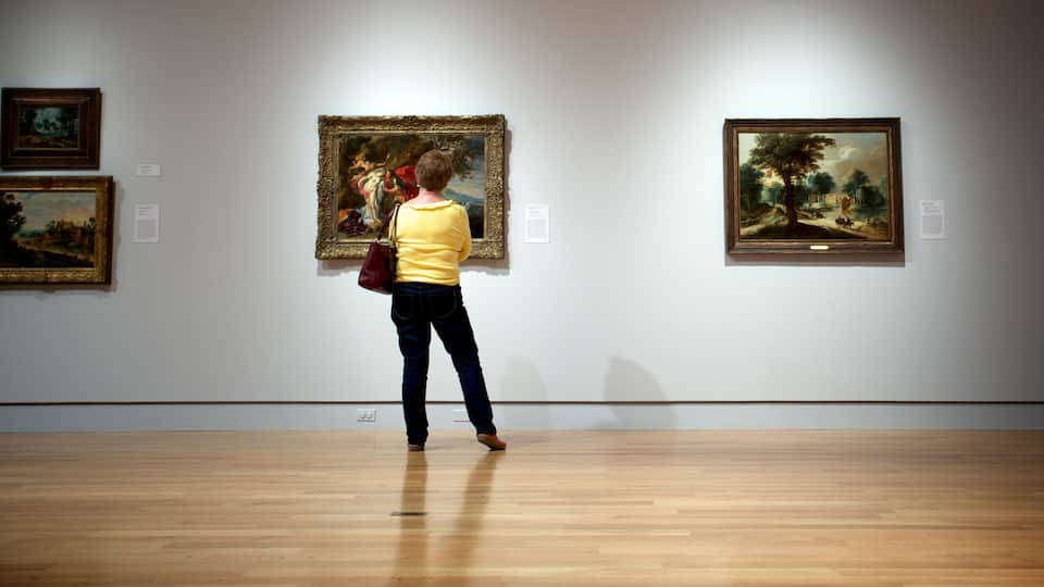 Norton Museum of Art bevat kunst en interieur en ook een vrouw