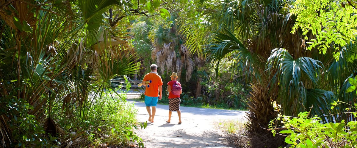 John D. MacArthur Beach State Park showing a park and general coastal views as well as a couple