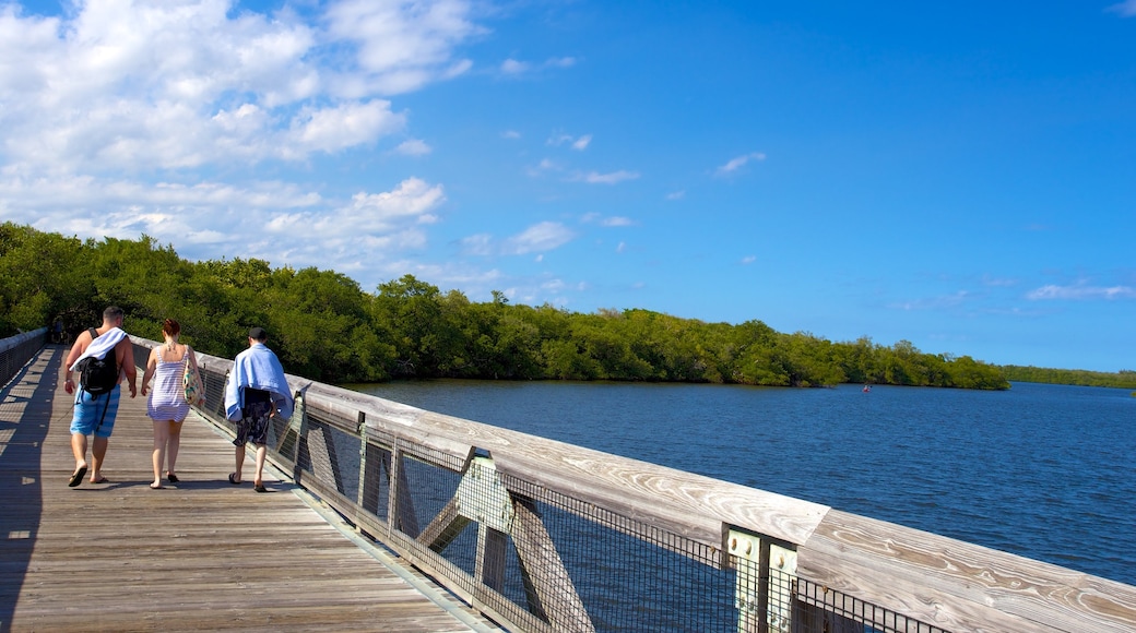 John D. MacArthur Beach State Park mit einem Brücke und allgemeine Küstenansicht sowie kleine Menschengruppe