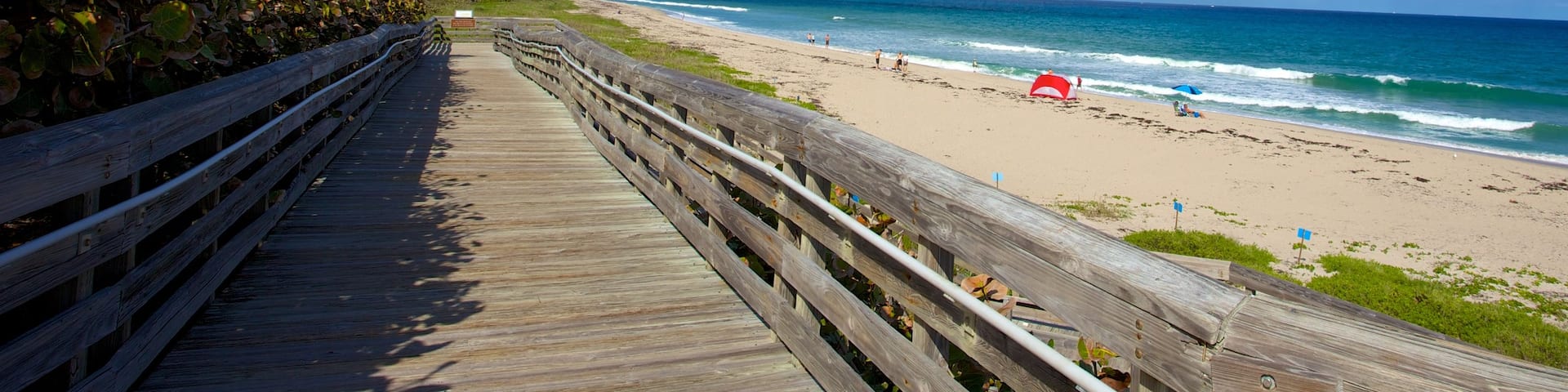 John D. MacArthur Beach State Park featuring a sandy beach