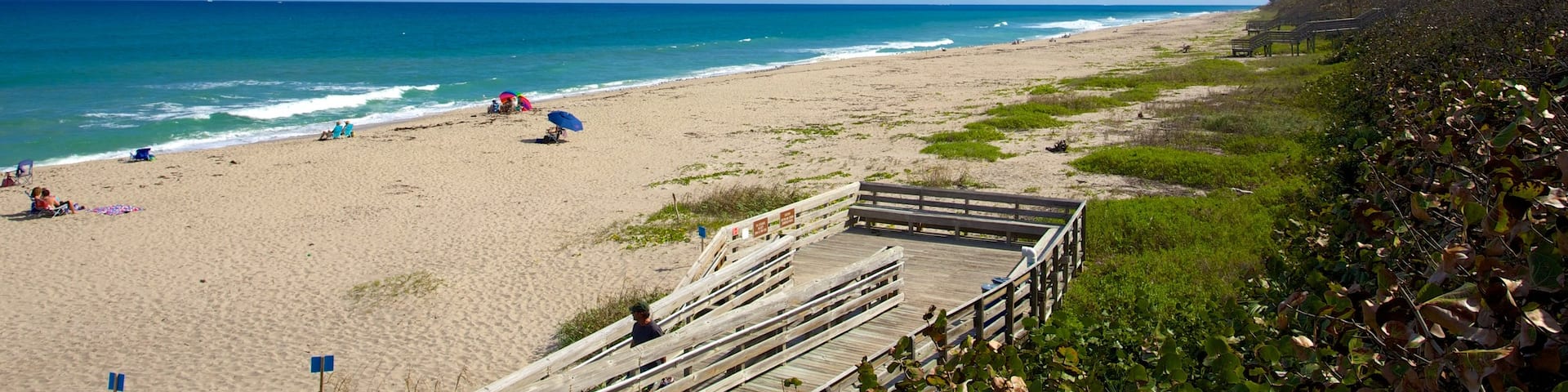 John D. MacArthur Beach State Park featuring a bridge and a beach