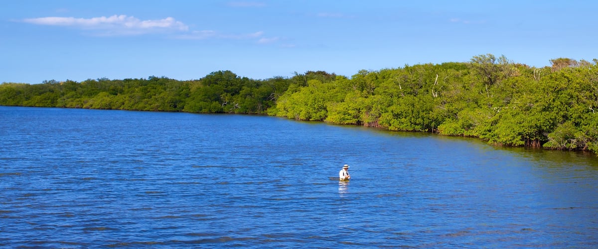 John D. MacArthur Beach State Park welches beinhaltet Angeln, allgemeine Küstenansicht und Mangroven