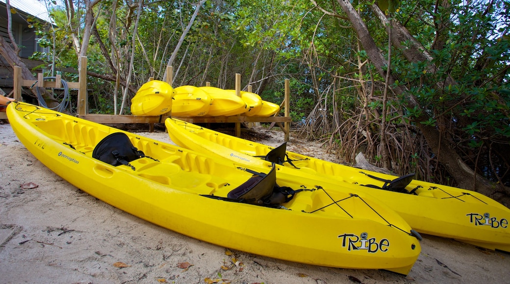 John D. MacArthur Beach State Park which includes kayaking or canoeing and general coastal views