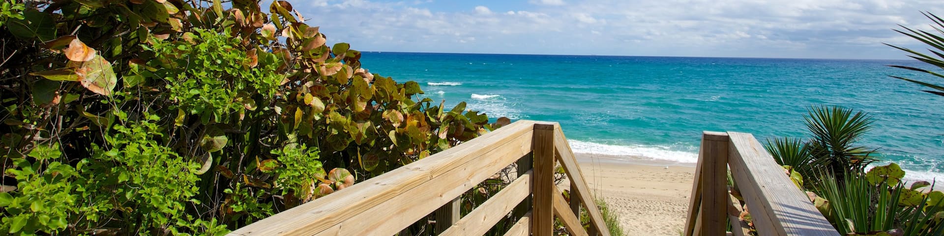 Phipps Ocean Park showing a bridge and a beach