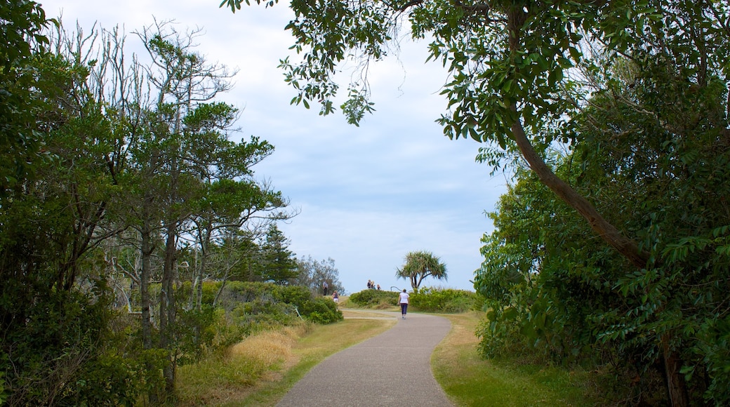 Mirador Point Cartwright mostrando un parque