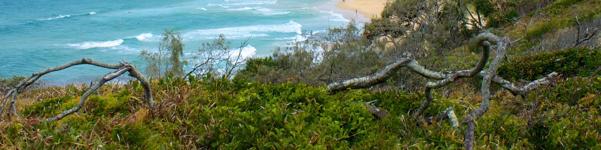 Mooloolaba which includes a sandy beach and landscape views