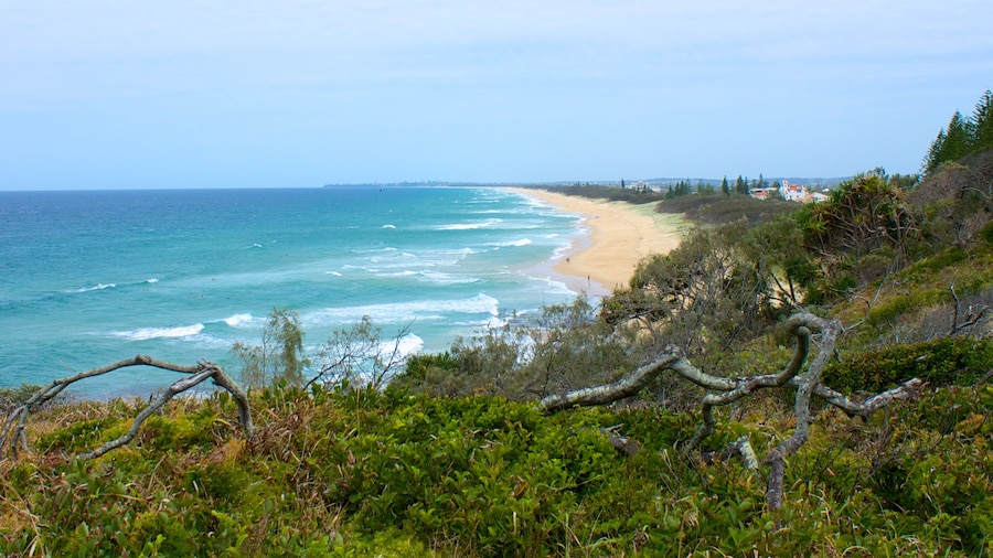 Mooloolaba som inkluderar en strand och landskap