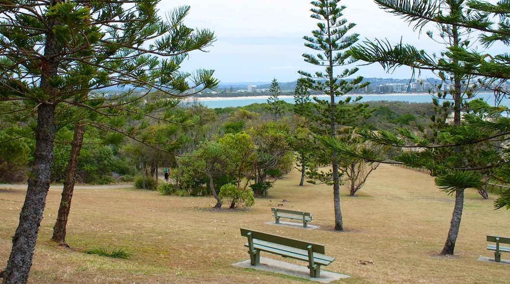 Mooloolaba toont een park en algemene kustgezichten