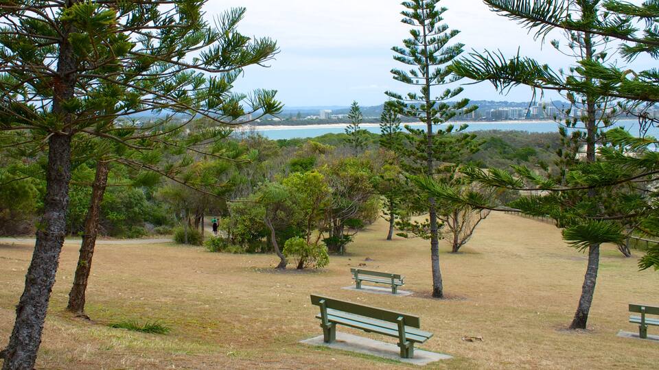 Mooloolaba which includes a park and general coastal views