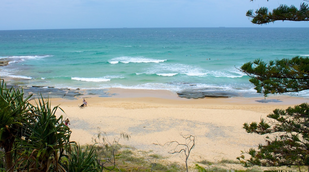 Mooloolaba som visar landskap, en strand och klippig kustlinje