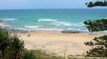 Mooloolaba og byder på barsk kystlinje, en sandstrand og udsigt over landskaber