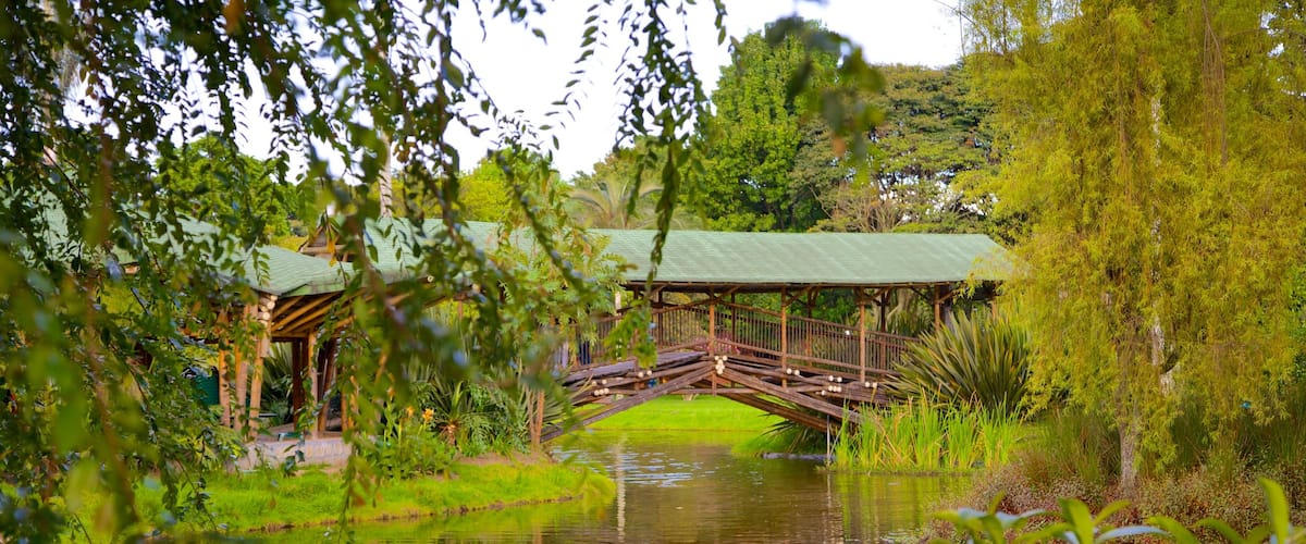 Jardín Botánico de Bogotá mostrando un estanque, un parque y un puente