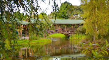 Bogota Botaniska trädgårdar som inkluderar en park, en bro och en damm