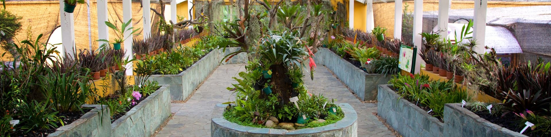 Bogota Botanical Garden showing a garden and interior views
