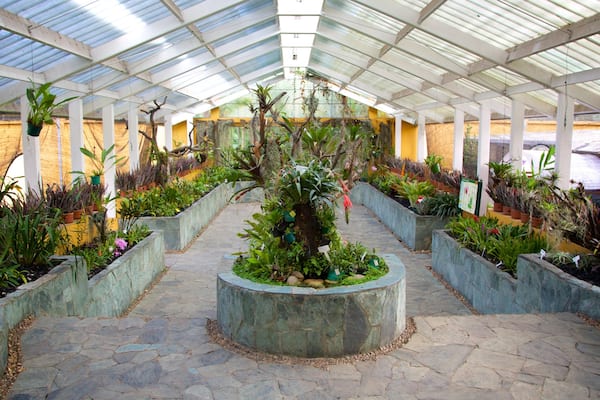 Botanischer Garten von BogotĂĄ das einen Park und Innenansichten