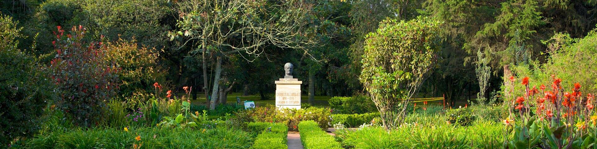 Bogota Botanical Garden featuring a fountain, a pond and a park