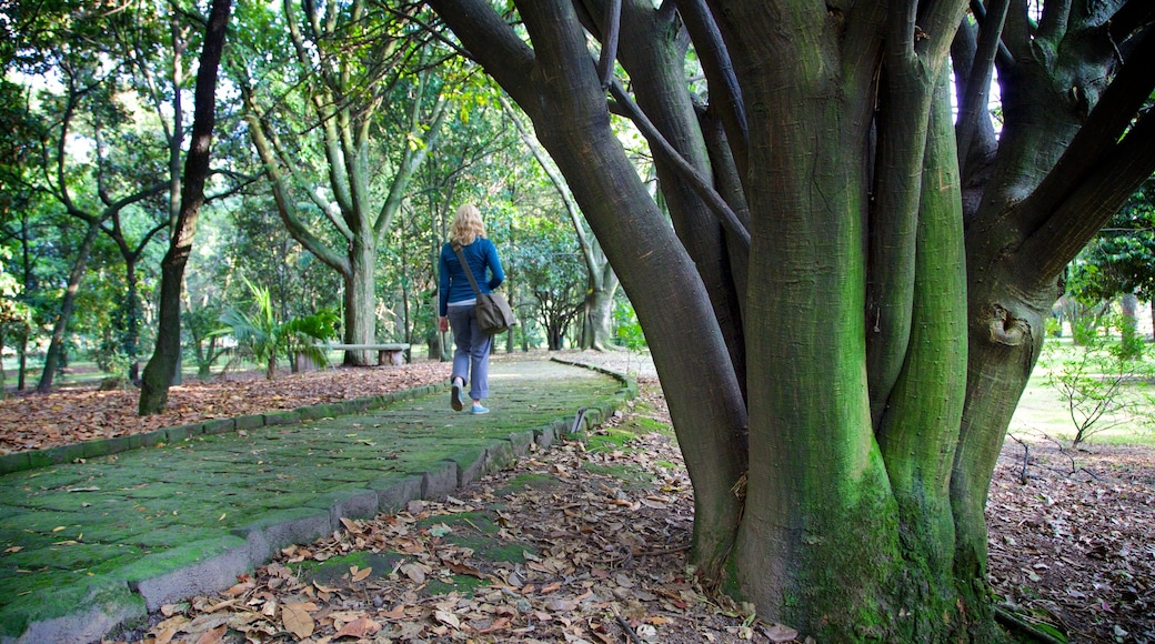 Bogota Botanical Garden showing a park as well as an individual femail