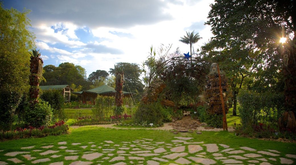 Bogota Botanical Garden showing a garden