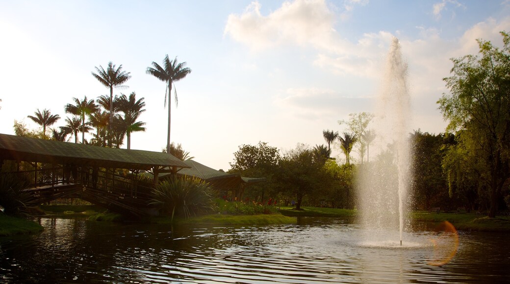 Bogota Botanical Garden featuring a fountain, a pond and a garden