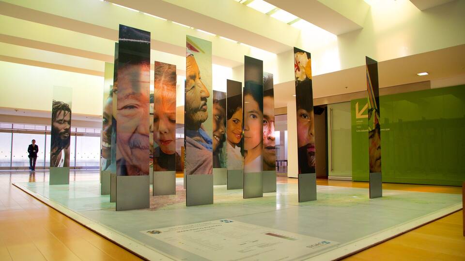 Gold Museum featuring interior views and art