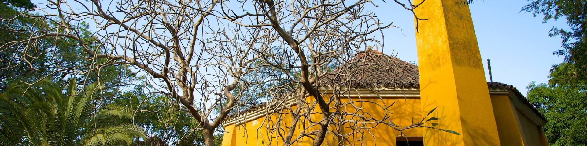 Quinta de San Pedro Alejandrino showing heritage elements