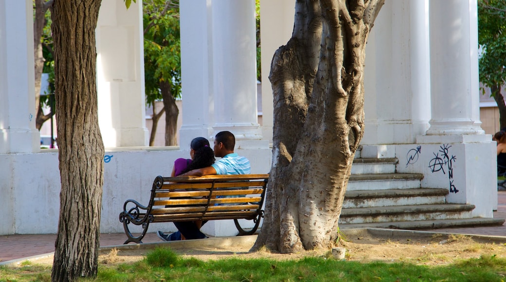 Parque de Los Novios mostrando un parque y también una pareja