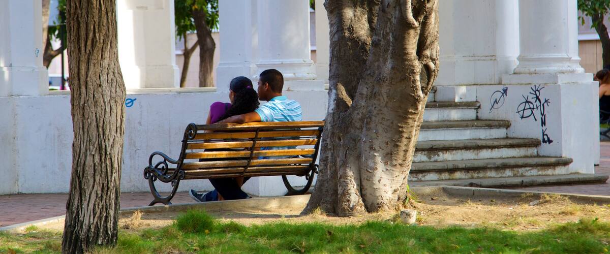 Parque de Los Novios mostrando un parque y también una pareja