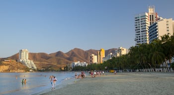 Rodadero Beach showing a hotel, a sandy beach and a coastal town