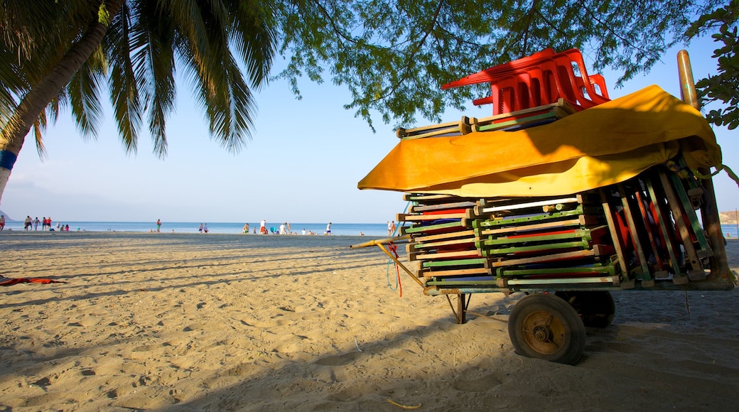 Playa El Rodadero que incluye escenas tropicales y una playa de arena